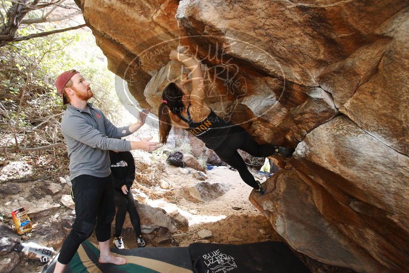 Bouldering in Hueco Tanks on 11/24/2018 with Blue Lizard Climbing and Yoga

Filename: SRM_20181124_1234230.jpg
Aperture: f/4.0
Shutter Speed: 1/250
Body: Canon EOS-1D Mark II
Lens: Canon EF 16-35mm f/2.8 L