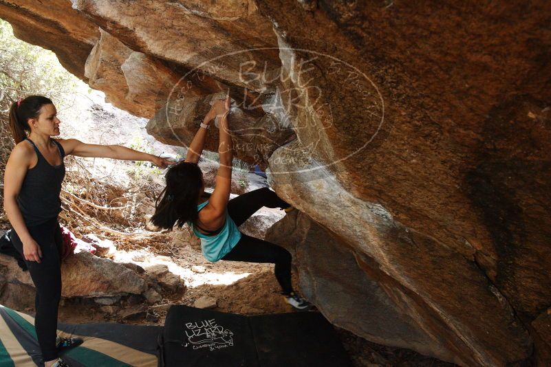 Bouldering in Hueco Tanks on 11/24/2018 with Blue Lizard Climbing and Yoga

Filename: SRM_20181124_1239421.jpg
Aperture: f/6.3
Shutter Speed: 1/200
Body: Canon EOS-1D Mark II
Lens: Canon EF 16-35mm f/2.8 L