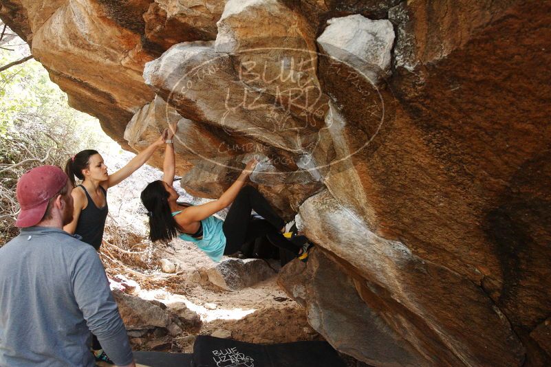 Bouldering in Hueco Tanks on 11/24/2018 with Blue Lizard Climbing and Yoga

Filename: SRM_20181124_1239500.jpg
Aperture: f/5.6
Shutter Speed: 1/200
Body: Canon EOS-1D Mark II
Lens: Canon EF 16-35mm f/2.8 L