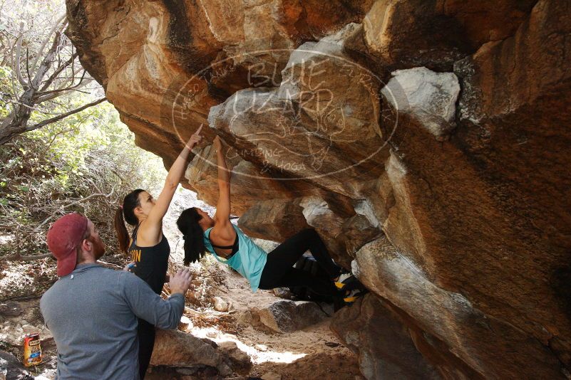 Bouldering in Hueco Tanks on 11/24/2018 with Blue Lizard Climbing and Yoga

Filename: SRM_20181124_1239540.jpg
Aperture: f/6.3
Shutter Speed: 1/200
Body: Canon EOS-1D Mark II
Lens: Canon EF 16-35mm f/2.8 L