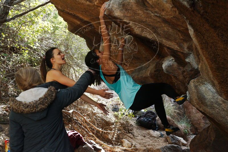 Bouldering in Hueco Tanks on 11/24/2018 with Blue Lizard Climbing and Yoga

Filename: SRM_20181124_1243101.jpg
Aperture: f/5.6
Shutter Speed: 1/320
Body: Canon EOS-1D Mark II
Lens: Canon EF 50mm f/1.8 II