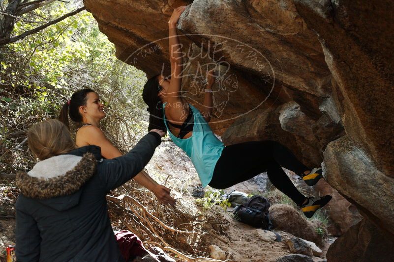 Bouldering in Hueco Tanks on 11/24/2018 with Blue Lizard Climbing and Yoga

Filename: SRM_20181124_1243111.jpg
Aperture: f/5.6
Shutter Speed: 1/320
Body: Canon EOS-1D Mark II
Lens: Canon EF 50mm f/1.8 II