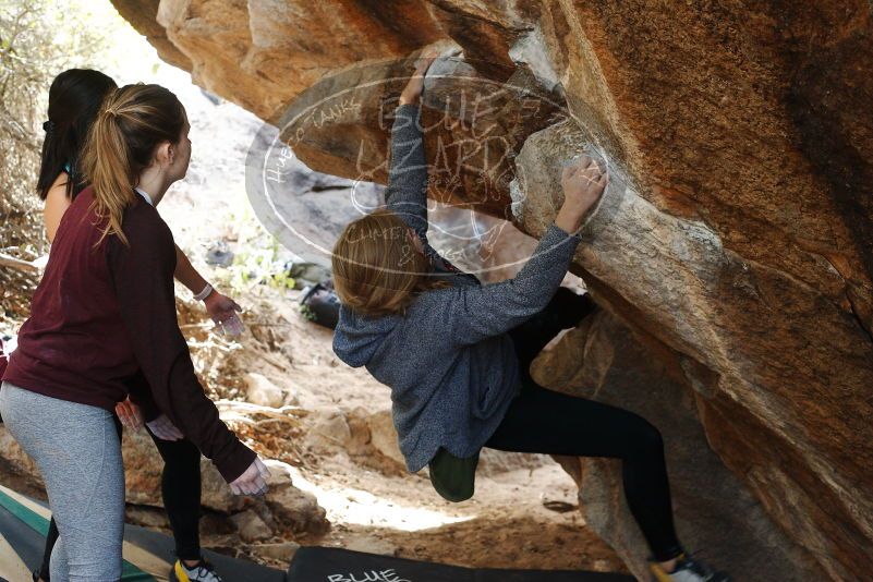 Bouldering in Hueco Tanks on 11/24/2018 with Blue Lizard Climbing and Yoga

Filename: SRM_20181124_1245391.jpg
Aperture: f/4.5
Shutter Speed: 1/250
Body: Canon EOS-1D Mark II
Lens: Canon EF 50mm f/1.8 II