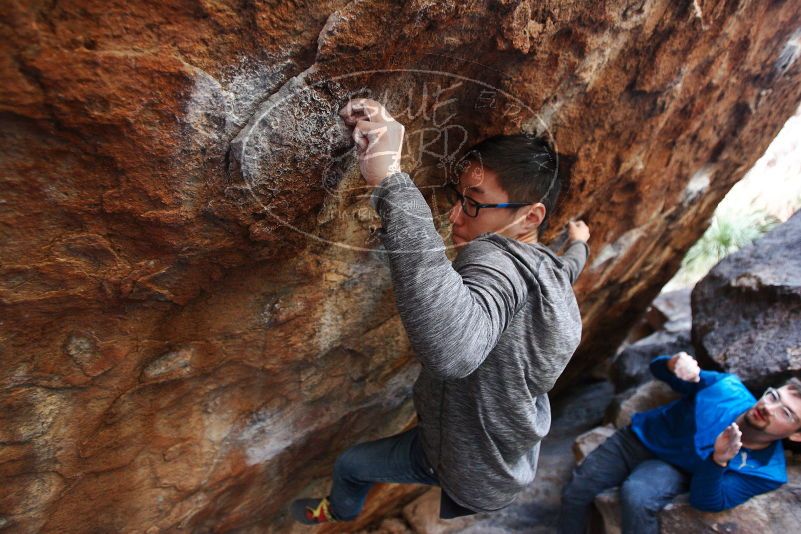 Bouldering in Hueco Tanks on 11/24/2018 with Blue Lizard Climbing and Yoga

Filename: SRM_20181124_1623550.jpg
Aperture: f/2.8
Shutter Speed: 1/250
Body: Canon EOS-1D Mark II
Lens: Canon EF 16-35mm f/2.8 L