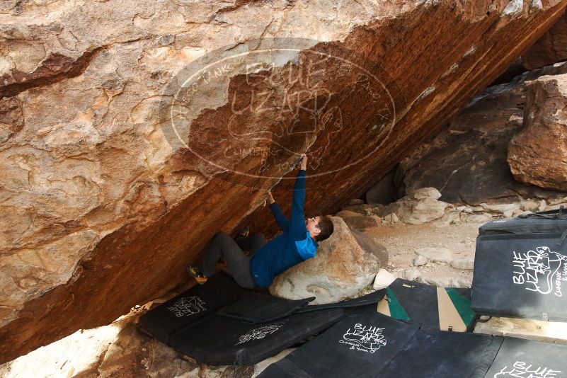 Bouldering in Hueco Tanks on 11/24/2018 with Blue Lizard Climbing and Yoga

Filename: SRM_20181124_1658370.jpg
Aperture: f/5.0
Shutter Speed: 1/250
Body: Canon EOS-1D Mark II
Lens: Canon EF 16-35mm f/2.8 L