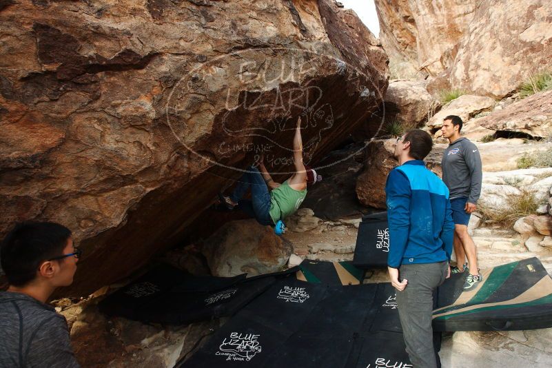 Bouldering in Hueco Tanks on 11/24/2018 with Blue Lizard Climbing and Yoga

Filename: SRM_20181124_1702250.jpg
Aperture: f/7.1
Shutter Speed: 1/250
Body: Canon EOS-1D Mark II
Lens: Canon EF 16-35mm f/2.8 L