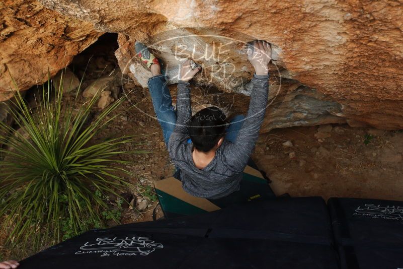 Bouldering in Hueco Tanks on 11/24/2018 with Blue Lizard Climbing and Yoga

Filename: SRM_20181124_1737190.jpg
Aperture: f/4.0
Shutter Speed: 1/250
Body: Canon EOS-1D Mark II
Lens: Canon EF 16-35mm f/2.8 L