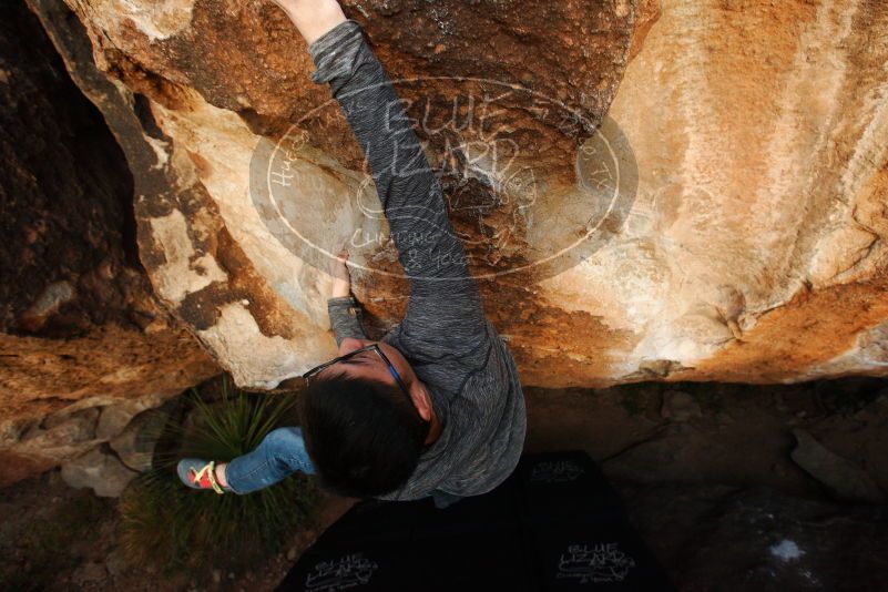 Bouldering in Hueco Tanks on 11/24/2018 with Blue Lizard Climbing and Yoga

Filename: SRM_20181124_1737450.jpg
Aperture: f/6.3
Shutter Speed: 1/250
Body: Canon EOS-1D Mark II
Lens: Canon EF 16-35mm f/2.8 L