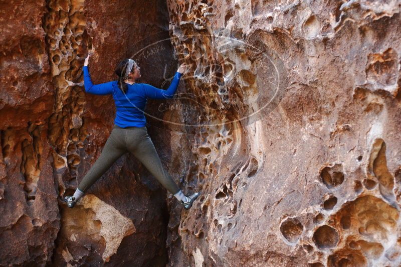 Bouldering in Hueco Tanks on 11/23/2018 with Blue Lizard Climbing and Yoga

Filename: SRM_20181123_1108180.jpg
Aperture: f/2.8
Shutter Speed: 1/125
Body: Canon EOS-1D Mark II
Lens: Canon EF 50mm f/1.8 II