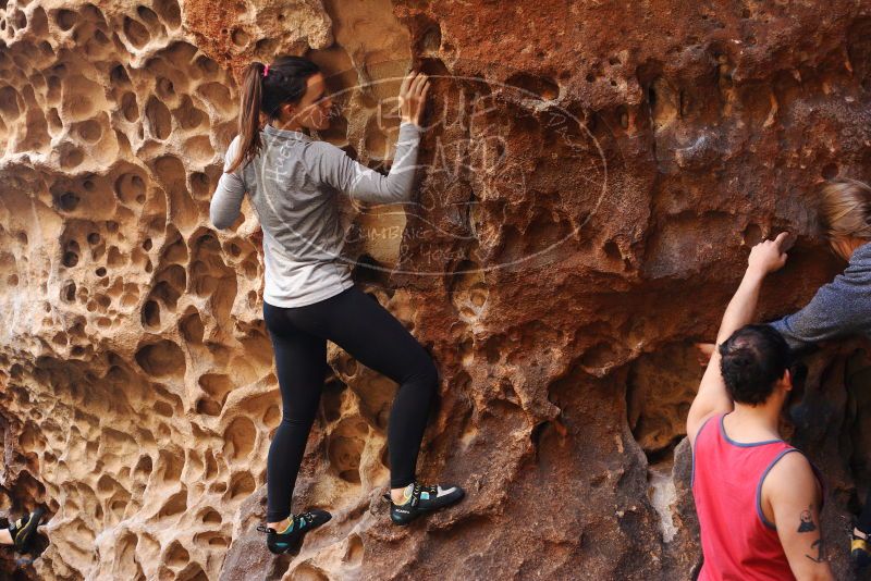 Bouldering in Hueco Tanks on 11/23/2018 with Blue Lizard Climbing and Yoga

Filename: SRM_20181123_1109300.jpg
Aperture: f/2.8
Shutter Speed: 1/160
Body: Canon EOS-1D Mark II
Lens: Canon EF 50mm f/1.8 II