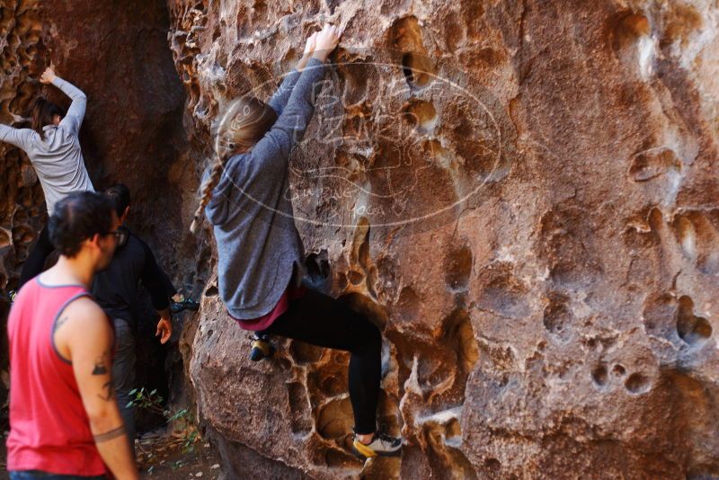 Bouldering in Hueco Tanks on 11/23/2018 with Blue Lizard Climbing and Yoga

Filename: SRM_20181123_1111070.jpg
Aperture: f/2.8
Shutter Speed: 1/160
Body: Canon EOS-1D Mark II
Lens: Canon EF 50mm f/1.8 II