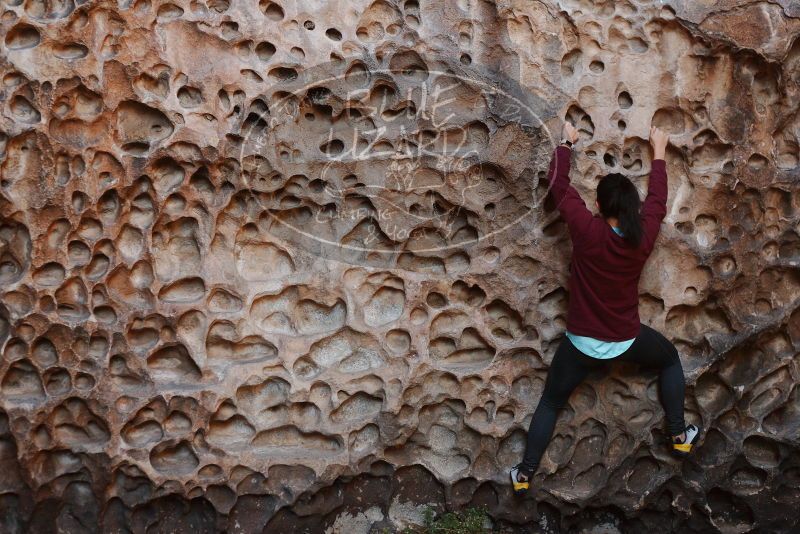 Bouldering in Hueco Tanks on 11/23/2018 with Blue Lizard Climbing and Yoga

Filename: SRM_20181123_1117250.jpg
Aperture: f/3.2
Shutter Speed: 1/250
Body: Canon EOS-1D Mark II
Lens: Canon EF 50mm f/1.8 II