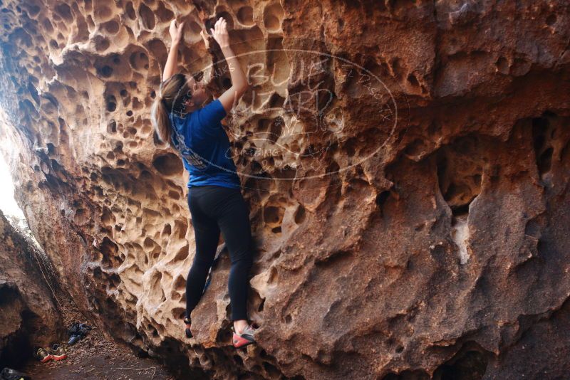 Bouldering in Hueco Tanks on 11/23/2018 with Blue Lizard Climbing and Yoga

Filename: SRM_20181123_1118170.jpg
Aperture: f/3.2
Shutter Speed: 1/160
Body: Canon EOS-1D Mark II
Lens: Canon EF 50mm f/1.8 II