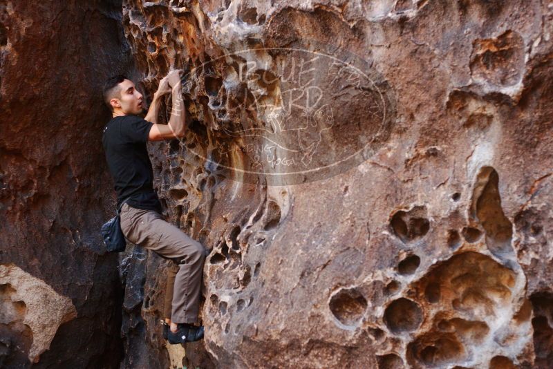 Bouldering in Hueco Tanks on 11/23/2018 with Blue Lizard Climbing and Yoga

Filename: SRM_20181123_1118330.jpg
Aperture: f/3.2
Shutter Speed: 1/125
Body: Canon EOS-1D Mark II
Lens: Canon EF 50mm f/1.8 II