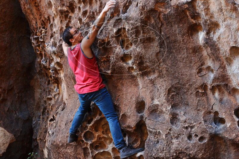 Bouldering in Hueco Tanks on 11/23/2018 with Blue Lizard Climbing and Yoga

Filename: SRM_20181123_1122350.jpg
Aperture: f/4.0
Shutter Speed: 1/80
Body: Canon EOS-1D Mark II
Lens: Canon EF 50mm f/1.8 II