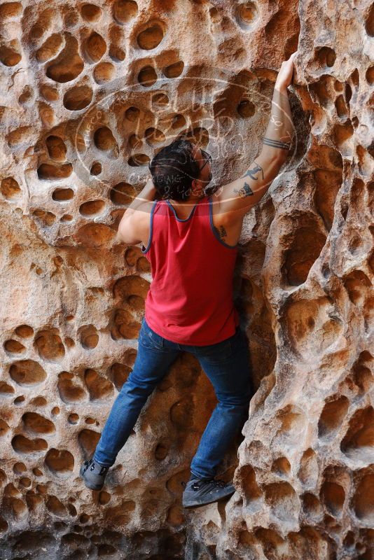 Bouldering in Hueco Tanks on 11/23/2018 with Blue Lizard Climbing and Yoga

Filename: SRM_20181123_1123060.jpg
Aperture: f/3.5
Shutter Speed: 1/100
Body: Canon EOS-1D Mark II
Lens: Canon EF 50mm f/1.8 II