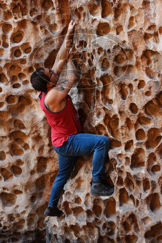 Bouldering in Hueco Tanks on 11/23/2018 with Blue Lizard Climbing and Yoga

Filename: SRM_20181123_1123120.jpg
Aperture: f/3.5
Shutter Speed: 1/125
Body: Canon EOS-1D Mark II
Lens: Canon EF 50mm f/1.8 II