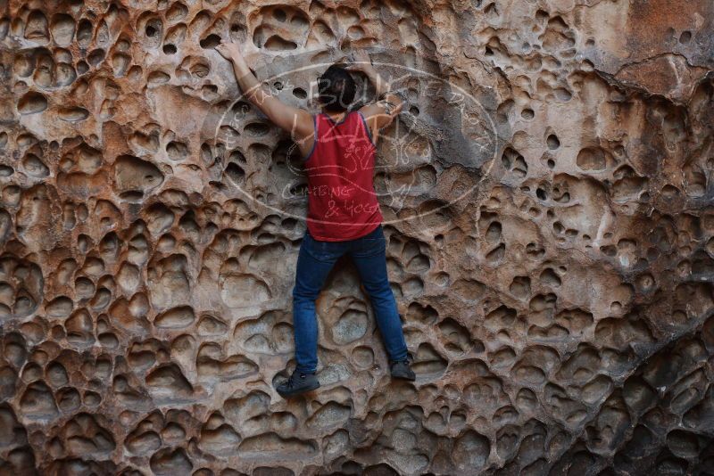 Bouldering in Hueco Tanks on 11/23/2018 with Blue Lizard Climbing and Yoga

Filename: SRM_20181123_1123410.jpg
Aperture: f/3.5
Shutter Speed: 1/200
Body: Canon EOS-1D Mark II
Lens: Canon EF 50mm f/1.8 II