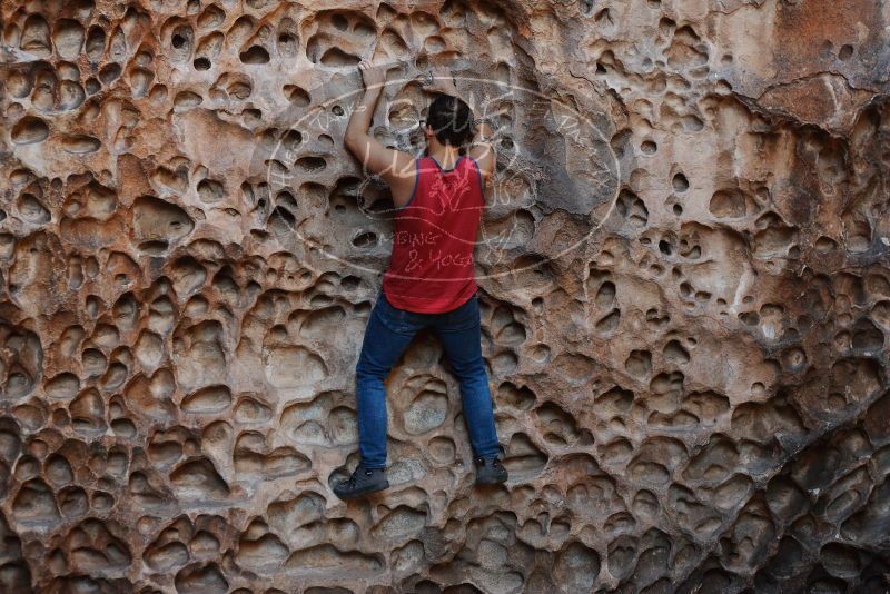 Bouldering in Hueco Tanks on 11/23/2018 with Blue Lizard Climbing and Yoga

Filename: SRM_20181123_1123420.jpg
Aperture: f/3.5
Shutter Speed: 1/200
Body: Canon EOS-1D Mark II
Lens: Canon EF 50mm f/1.8 II