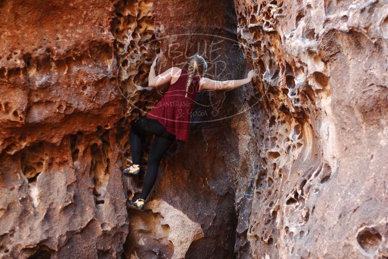 Bouldering in Hueco Tanks on 11/23/2018 with Blue Lizard Climbing and Yoga

Filename: SRM_20181123_1129150.jpg
Aperture: f/2.8
Shutter Speed: 1/100
Body: Canon EOS-1D Mark II
Lens: Canon EF 50mm f/1.8 II