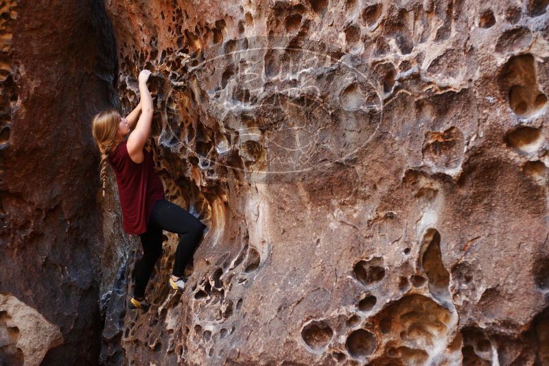 Bouldering in Hueco Tanks on 11/23/2018 with Blue Lizard Climbing and Yoga

Filename: SRM_20181123_1129560.jpg
Aperture: f/2.8
Shutter Speed: 1/160
Body: Canon EOS-1D Mark II
Lens: Canon EF 50mm f/1.8 II