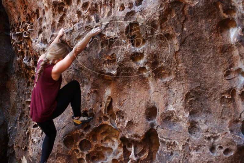 Bouldering in Hueco Tanks on 11/23/2018 with Blue Lizard Climbing and Yoga

Filename: SRM_20181123_1130350.jpg
Aperture: f/2.8
Shutter Speed: 1/160
Body: Canon EOS-1D Mark II
Lens: Canon EF 50mm f/1.8 II