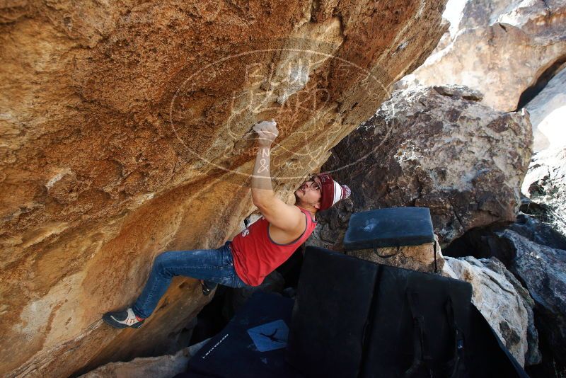 Bouldering in Hueco Tanks on 11/23/2018 with Blue Lizard Climbing and Yoga

Filename: SRM_20181123_1318150.jpg
Aperture: f/5.6
Shutter Speed: 1/400
Body: Canon EOS-1D Mark II
Lens: Canon EF 16-35mm f/2.8 L