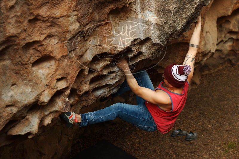 Bouldering in Hueco Tanks on 11/23/2018 with Blue Lizard Climbing and Yoga

Filename: SRM_20181123_1551490.jpg
Aperture: f/4.0
Shutter Speed: 1/250
Body: Canon EOS-1D Mark II
Lens: Canon EF 50mm f/1.8 II