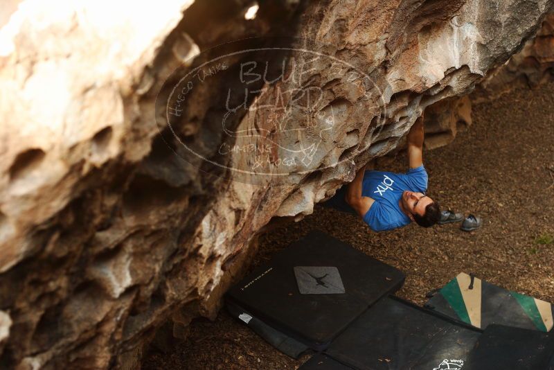 Bouldering in Hueco Tanks on 11/23/2018 with Blue Lizard Climbing and Yoga

Filename: SRM_20181123_1604300.jpg
Aperture: f/3.2
Shutter Speed: 1/250
Body: Canon EOS-1D Mark II
Lens: Canon EF 50mm f/1.8 II