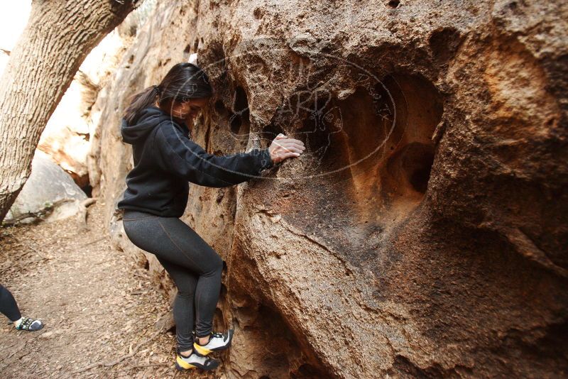 Bouldering in Hueco Tanks on 11/23/2018 with Blue Lizard Climbing and Yoga

Filename: SRM_20181123_1623520.jpg
Aperture: f/2.8
Shutter Speed: 1/125
Body: Canon EOS-1D Mark II
Lens: Canon EF 16-35mm f/2.8 L