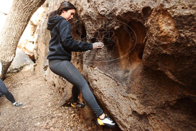 Bouldering in Hueco Tanks on 11/23/2018 with Blue Lizard Climbing and Yoga

Filename: SRM_20181123_1623560.jpg
Aperture: f/2.8
Shutter Speed: 1/125
Body: Canon EOS-1D Mark II
Lens: Canon EF 16-35mm f/2.8 L