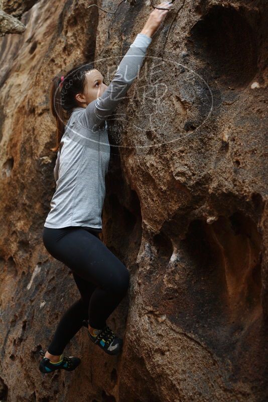 Bouldering in Hueco Tanks on 11/23/2018 with Blue Lizard Climbing and Yoga

Filename: SRM_20181123_1627120.jpg
Aperture: f/4.0
Shutter Speed: 1/100
Body: Canon EOS-1D Mark II
Lens: Canon EF 50mm f/1.8 II