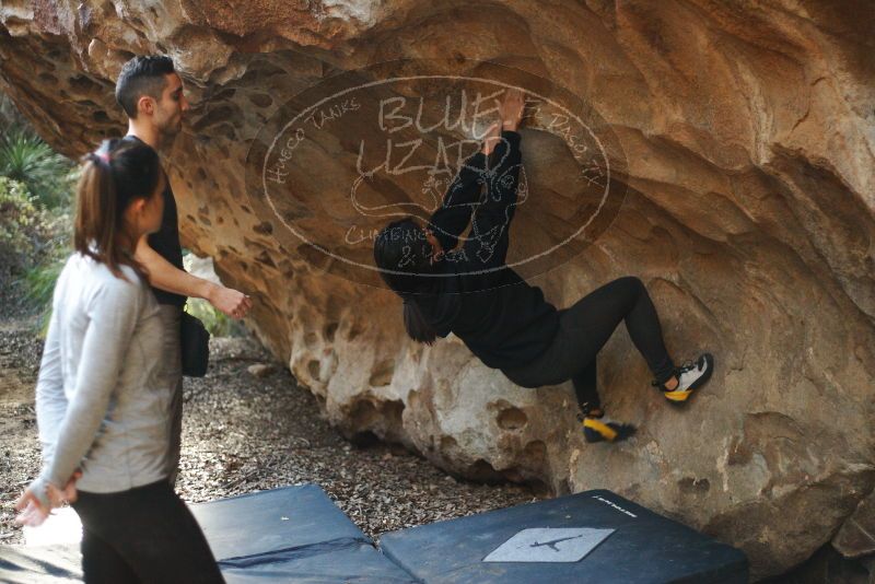 Bouldering in Hueco Tanks on 11/23/2018 with Blue Lizard Climbing and Yoga

Filename: SRM_20181123_1641080.jpg
Aperture: f/2.0
Shutter Speed: 1/250
Body: Canon EOS-1D Mark II
Lens: Canon EF 50mm f/1.8 II