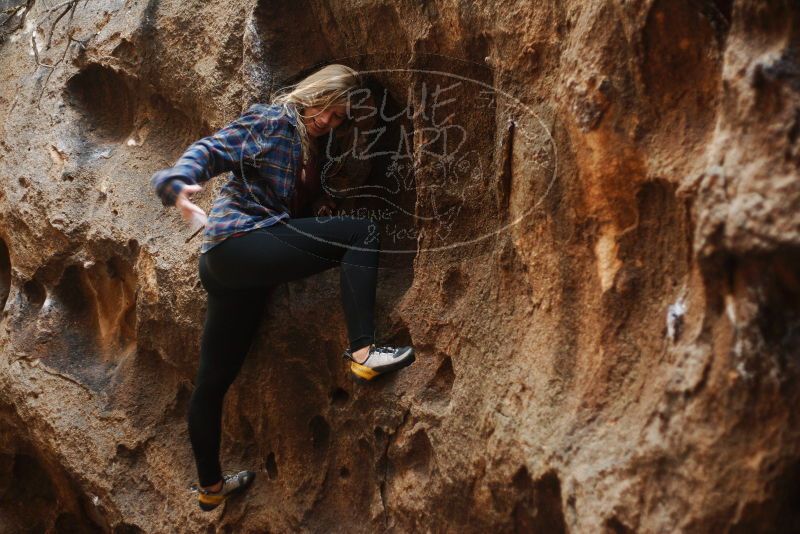 Bouldering in Hueco Tanks on 11/23/2018 with Blue Lizard Climbing and Yoga

Filename: SRM_20181123_1643551.jpg
Aperture: f/2.0
Shutter Speed: 1/125
Body: Canon EOS-1D Mark II
Lens: Canon EF 50mm f/1.8 II