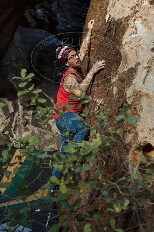 Bouldering in Hueco Tanks on 11/23/2018 with Blue Lizard Climbing and Yoga

Filename: SRM_20181123_1657400.jpg
Aperture: f/4.5
Shutter Speed: 1/160
Body: Canon EOS-1D Mark II
Lens: Canon EF 50mm f/1.8 II