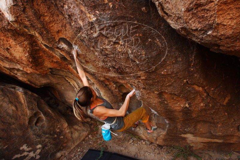 Bouldering in Hueco Tanks on 11/22/2018 with Blue Lizard Climbing and Yoga

Filename: SRM_20181122_1037560.jpg
Aperture: f/5.6
Shutter Speed: 1/200
Body: Canon EOS-1D Mark II
Lens: Canon EF 16-35mm f/2.8 L