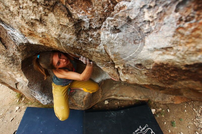 Bouldering in Hueco Tanks on 11/22/2018 with Blue Lizard Climbing and Yoga

Filename: SRM_20181122_1136310.jpg
Aperture: f/5.6
Shutter Speed: 1/400
Body: Canon EOS-1D Mark II
Lens: Canon EF 16-35mm f/2.8 L