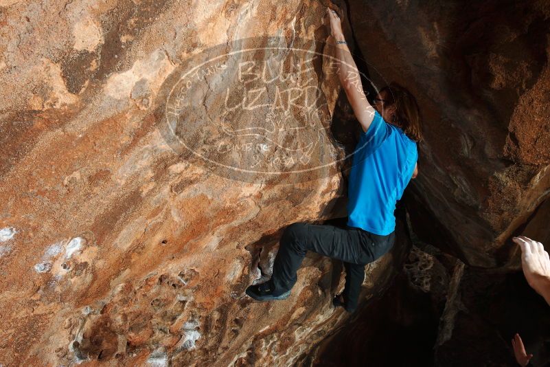 Bouldering in Hueco Tanks on 11/22/2018 with Blue Lizard Climbing and Yoga

Filename: SRM_20181122_1503240.jpg
Aperture: f/8.0
Shutter Speed: 1/250
Body: Canon EOS-1D Mark II
Lens: Canon EF 16-35mm f/2.8 L