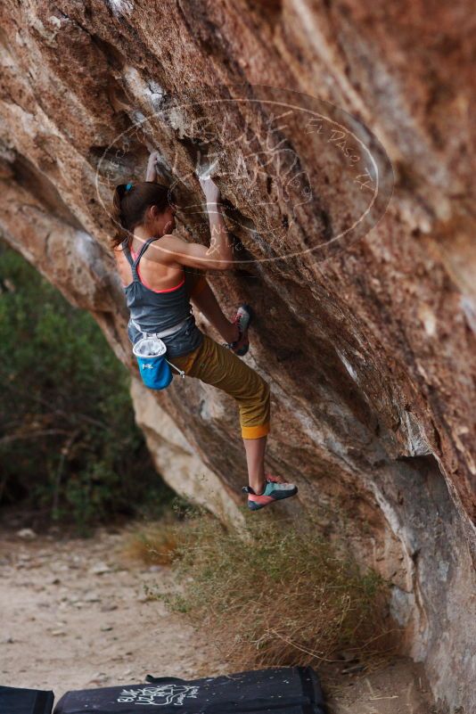 Bouldering in Hueco Tanks on 11/22/2018 with Blue Lizard Climbing and Yoga

Filename: SRM_20181122_1732290.jpg
Aperture: f/2.0
Shutter Speed: 1/320
Body: Canon EOS-1D Mark II
Lens: Canon EF 85mm f/1.2 L II