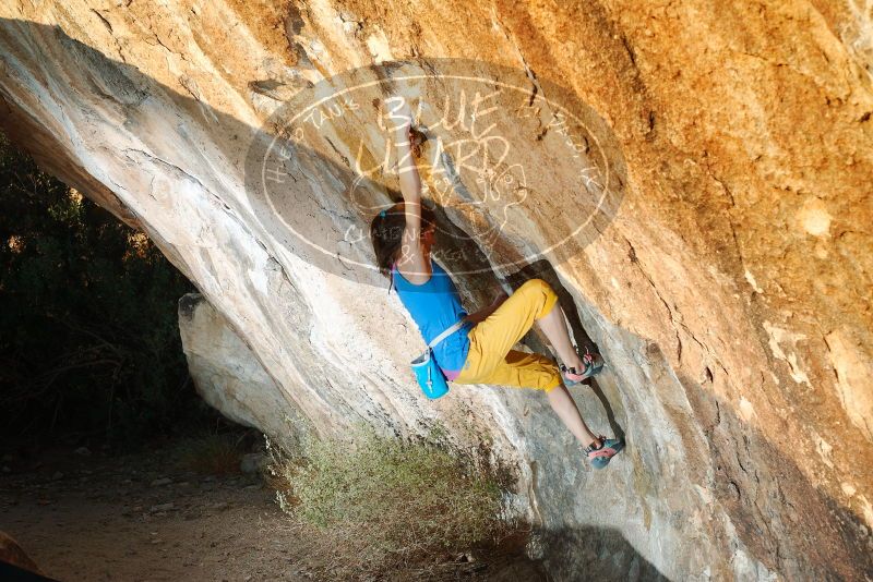 Bouldering in Hueco Tanks on 11/19/2018 with Blue Lizard Climbing and Yoga

Filename: SRM_20181119_1740170.jpg
Aperture: f/4.0
Shutter Speed: 1/250
Body: Canon EOS-1D Mark II
Lens: Canon EF 50mm f/1.8 II