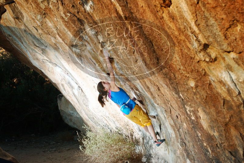 Bouldering in Hueco Tanks on 11/19/2018 with Blue Lizard Climbing and Yoga

Filename: SRM_20181119_1741160.jpg
Aperture: f/3.5
Shutter Speed: 1/250
Body: Canon EOS-1D Mark II
Lens: Canon EF 50mm f/1.8 II