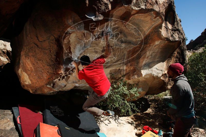 Bouldering in Hueco Tanks on 11/09/2018 with Blue Lizard Climbing and Yoga

Filename: SRM_20181109_1303240.jpg
Aperture: f/8.0
Shutter Speed: 1/320
Body: Canon EOS-1D Mark II
Lens: Canon EF 16-35mm f/2.8 L