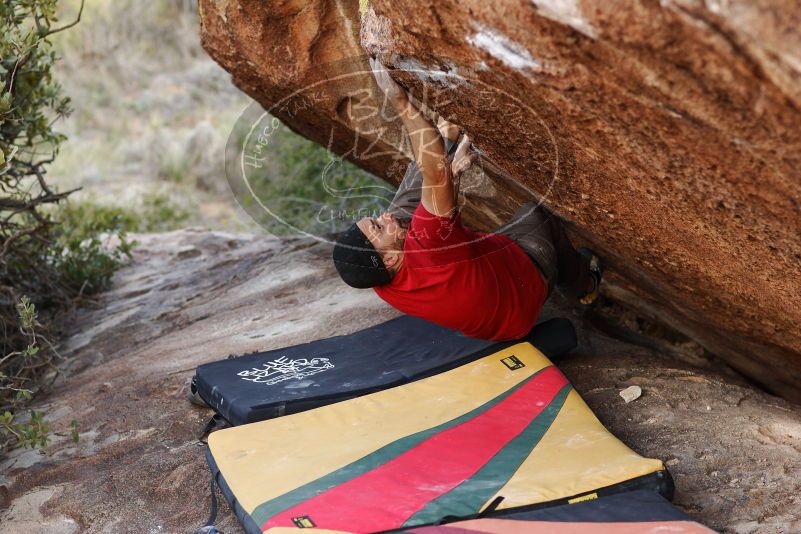 Bouldering in Hueco Tanks on 11/09/2018 with Blue Lizard Climbing and Yoga

Filename: SRM_20181109_1709370.jpg
Aperture: f/2.8
Shutter Speed: 1/400
Body: Canon EOS-1D Mark II
Lens: Canon EF 85mm f/1.2 L II