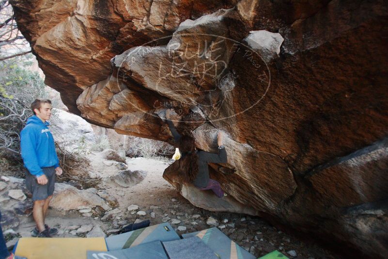 Bouldering in Hueco Tanks on 12/01/2018 with Blue Lizard Climbing and Yoga

Filename: SRM_20181201_1042390.jpg
Aperture: f/2.8
Shutter Speed: 1/200
Body: Canon EOS-1D Mark II
Lens: Canon EF 16-35mm f/2.8 L