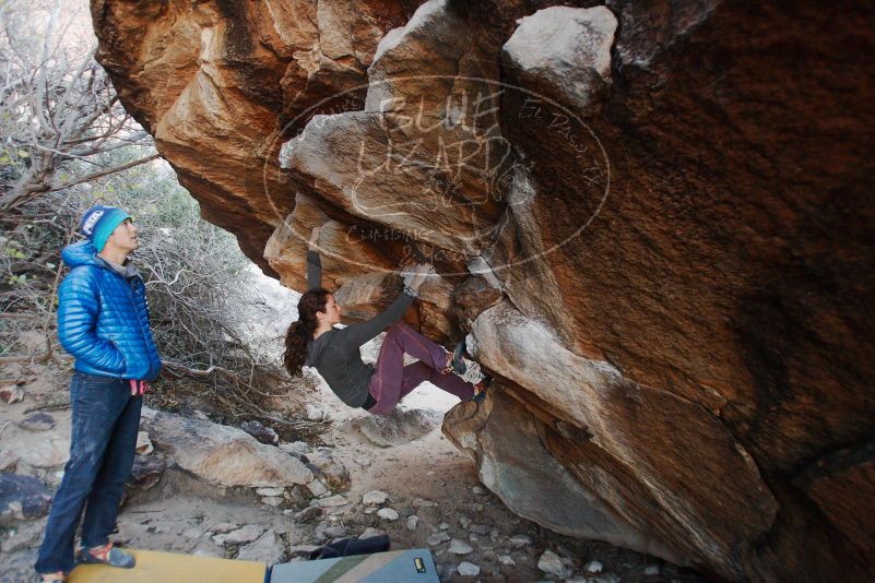 Bouldering in Hueco Tanks on 12/01/2018 with Blue Lizard Climbing and Yoga

Filename: SRM_20181201_1042480.jpg
Aperture: f/2.8
Shutter Speed: 1/200
Body: Canon EOS-1D Mark II
Lens: Canon EF 16-35mm f/2.8 L