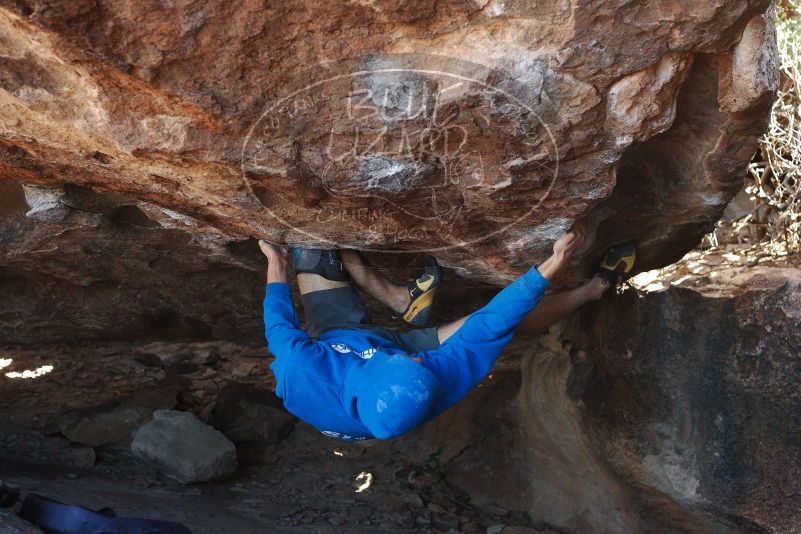 Bouldering in Hueco Tanks on 12/01/2018 with Blue Lizard Climbing and Yoga

Filename: SRM_20181201_1352160.jpg
Aperture: f/4.0
Shutter Speed: 1/400
Body: Canon EOS-1D Mark II
Lens: Canon EF 50mm f/1.8 II