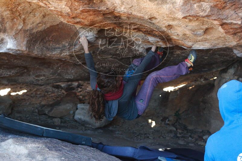 Bouldering in Hueco Tanks on 12/01/2018 with Blue Lizard Climbing and Yoga

Filename: SRM_20181201_1354250.jpg
Aperture: f/4.0
Shutter Speed: 1/250
Body: Canon EOS-1D Mark II
Lens: Canon EF 50mm f/1.8 II