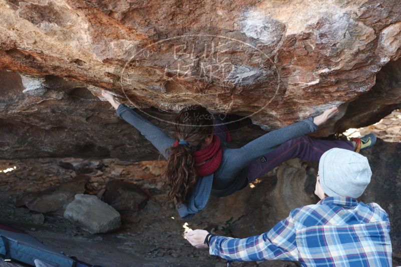 Bouldering in Hueco Tanks on 12/01/2018 with Blue Lizard Climbing and Yoga

Filename: SRM_20181201_1358190.jpg
Aperture: f/4.0
Shutter Speed: 1/250
Body: Canon EOS-1D Mark II
Lens: Canon EF 50mm f/1.8 II