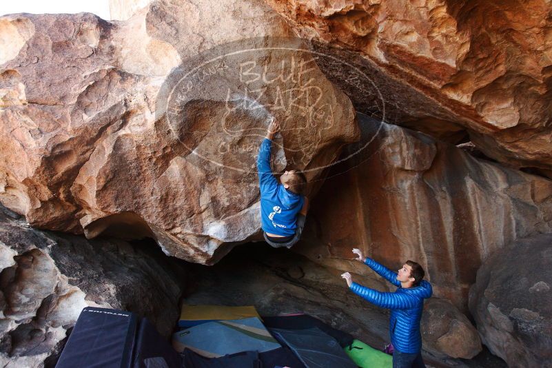 Bouldering in Hueco Tanks on 12/01/2018 with Blue Lizard Climbing and Yoga

Filename: SRM_20181201_1518110.jpg
Aperture: f/4.0
Shutter Speed: 1/320
Body: Canon EOS-1D Mark II
Lens: Canon EF 16-35mm f/2.8 L