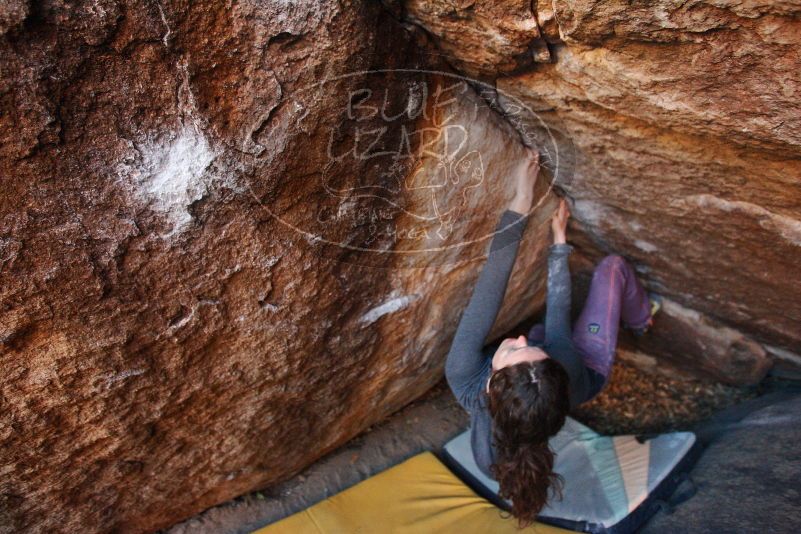 Bouldering in Hueco Tanks on 12/01/2018 with Blue Lizard Climbing and Yoga

Filename: SRM_20181201_1650300.jpg
Aperture: f/3.2
Shutter Speed: 1/250
Body: Canon EOS-1D Mark II
Lens: Canon EF 16-35mm f/2.8 L